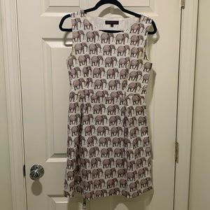 Adorable, elephant dress, great for an elementary school teacher